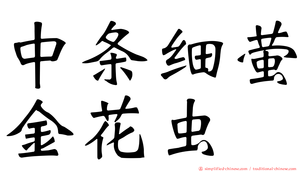 中条细萤金花虫