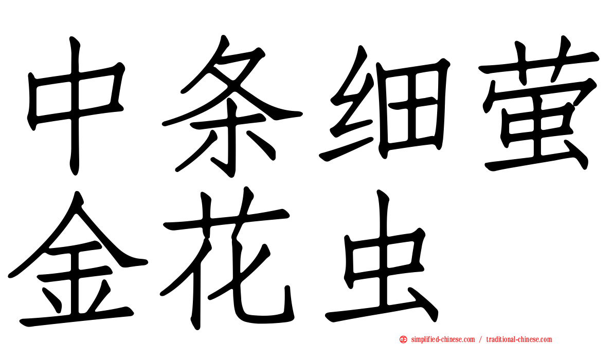 中条细萤金花虫