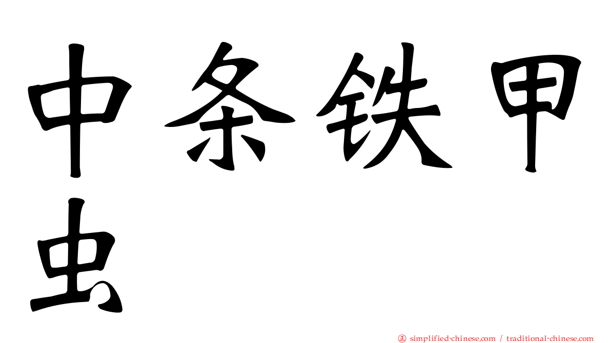 中条铁甲虫