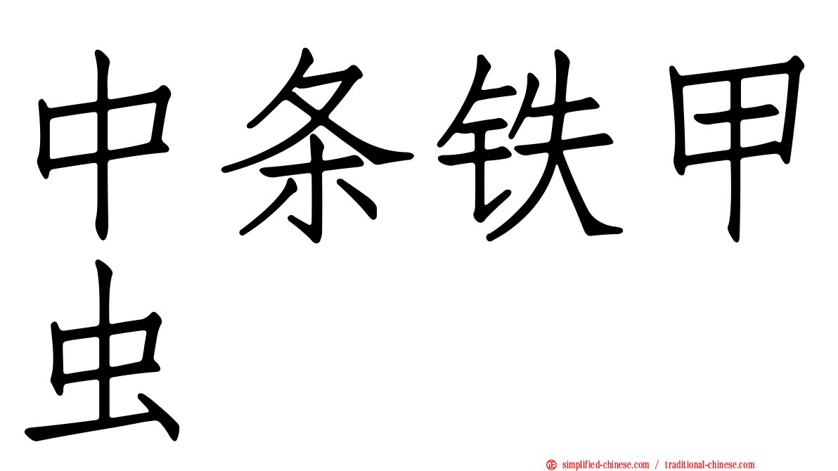 中条铁甲虫