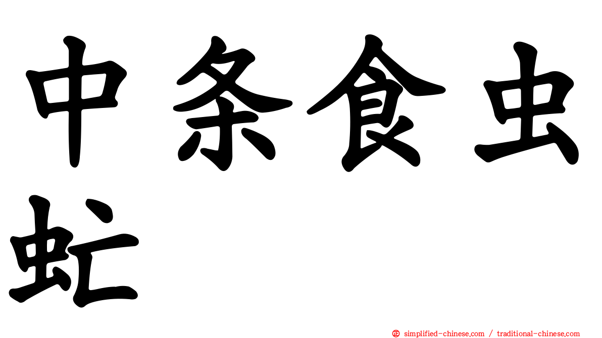 中条食虫虻