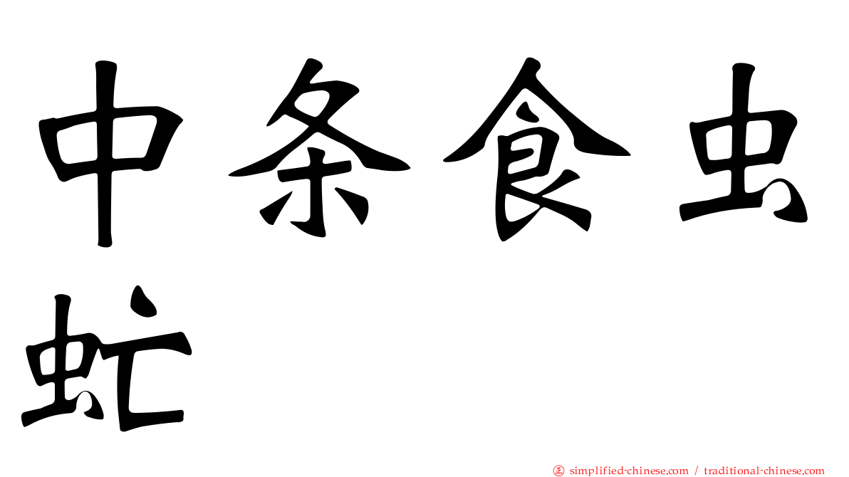 中条食虫虻