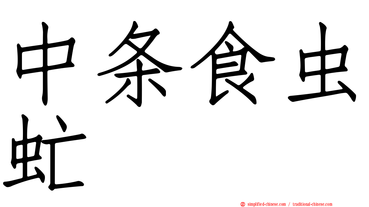 中条食虫虻