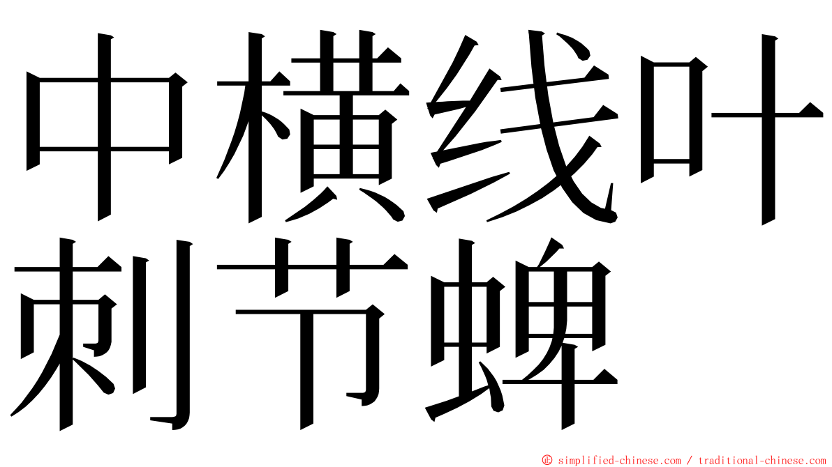 中横线叶刺节蜱 ming font