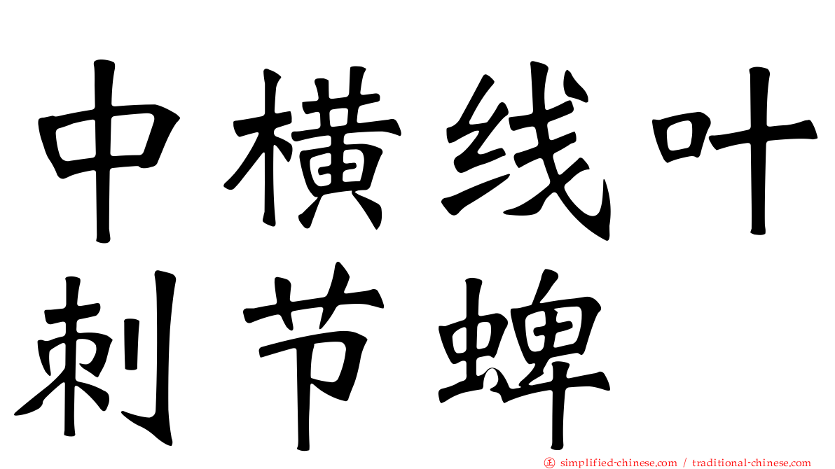 中横线叶刺节蜱