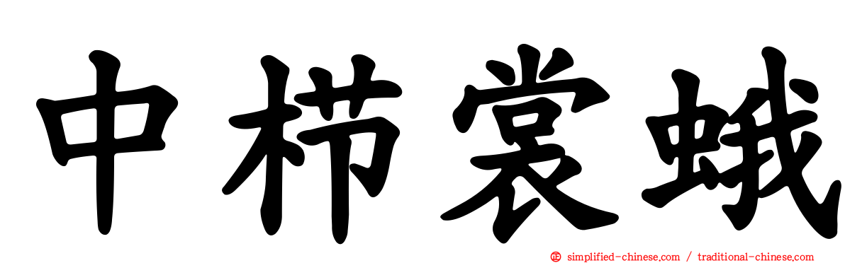 中栉裳蛾