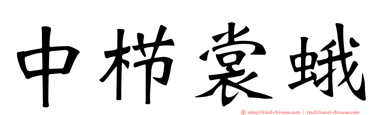 中栉裳蛾