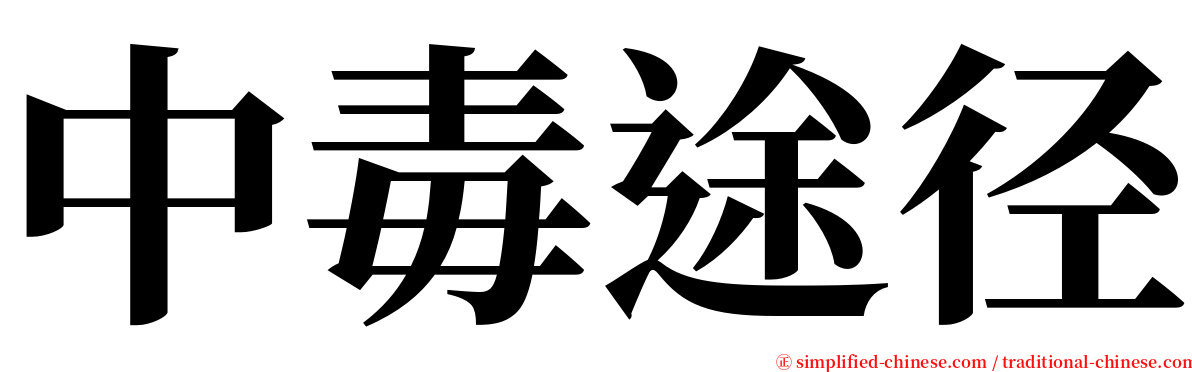 中毒途径 serif font