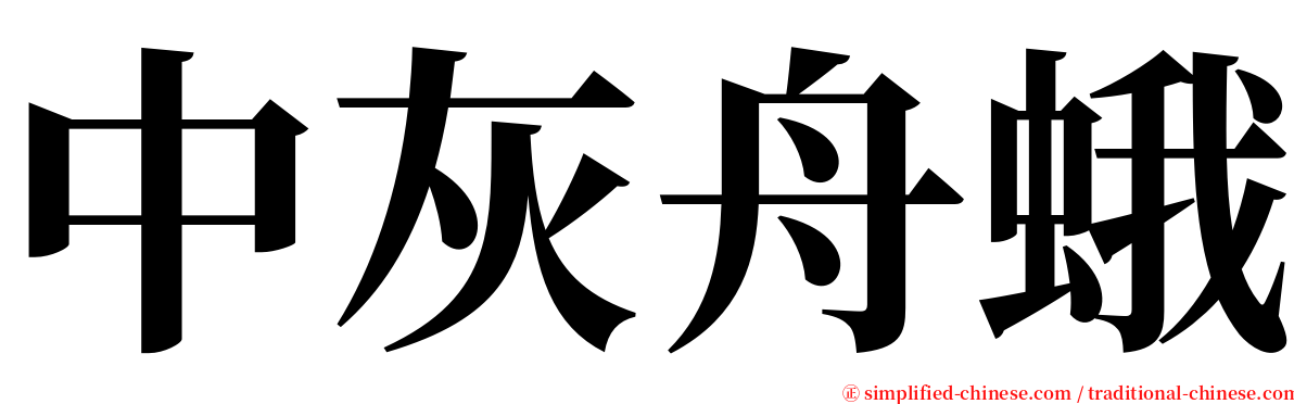 中灰舟蛾 serif font