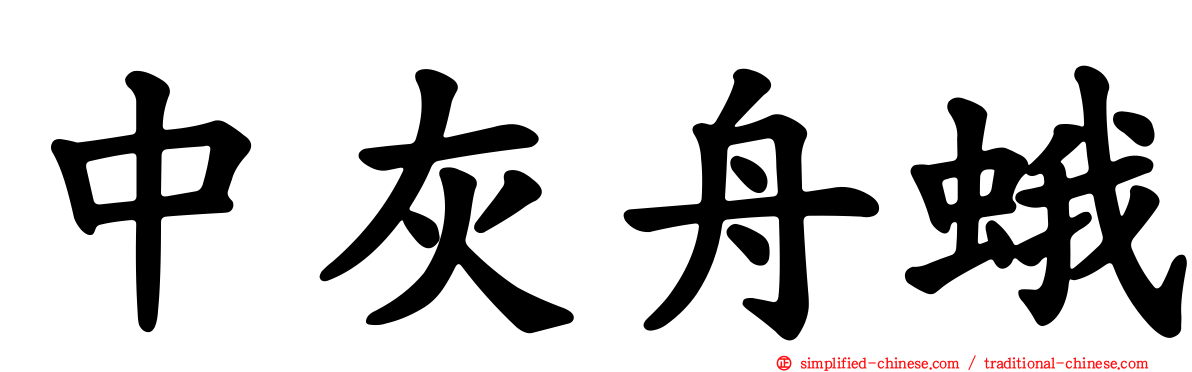 中灰舟蛾