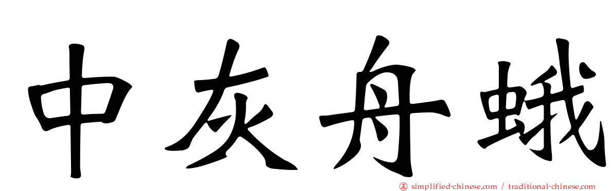 中灰舟蛾