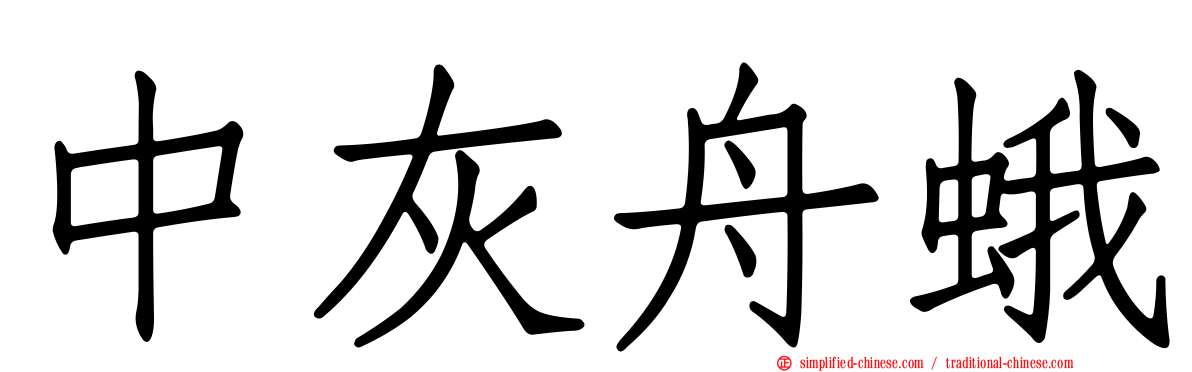 中灰舟蛾
