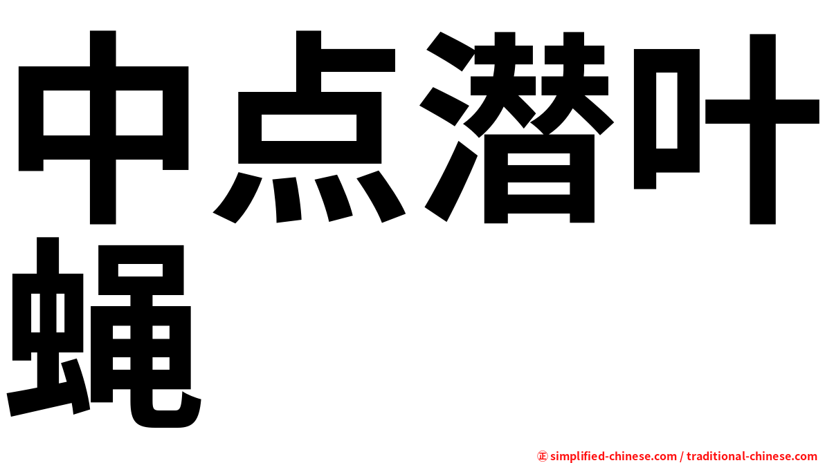中点潜叶蝇