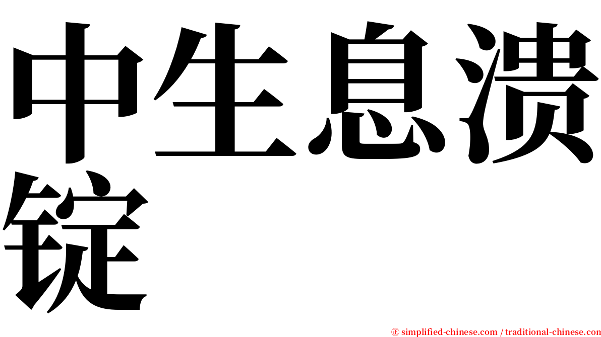 中生息溃锭 serif font