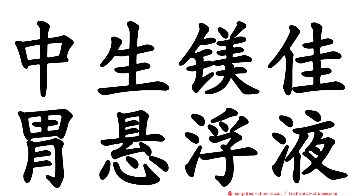 中生镁佳胃悬浮液