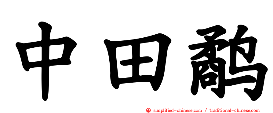 中田鹬