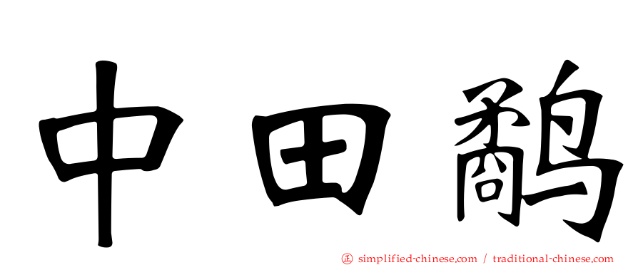 中田鹬