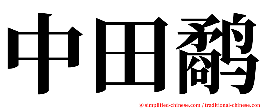 中田鹬 serif font