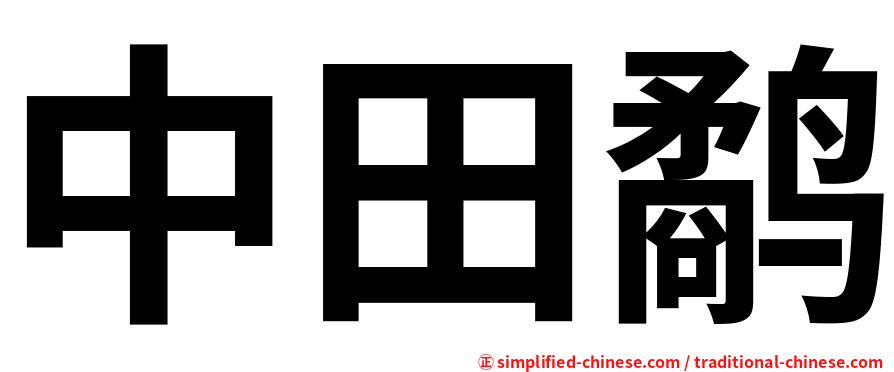 中田鹬