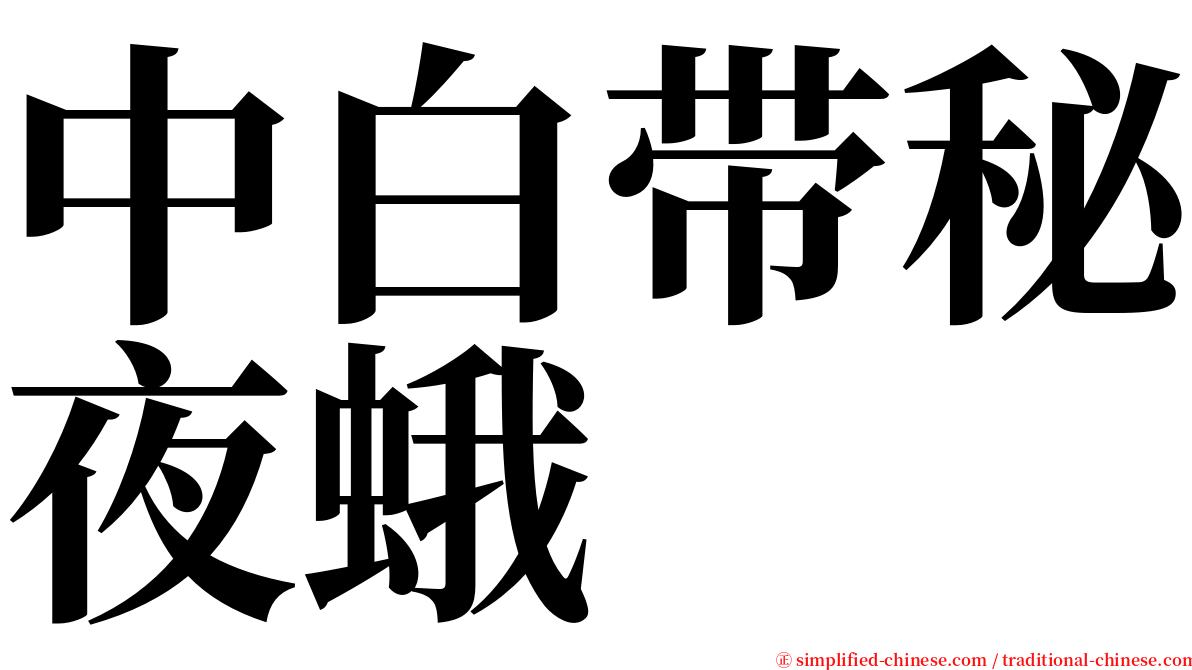 中白带秘夜蛾 serif font