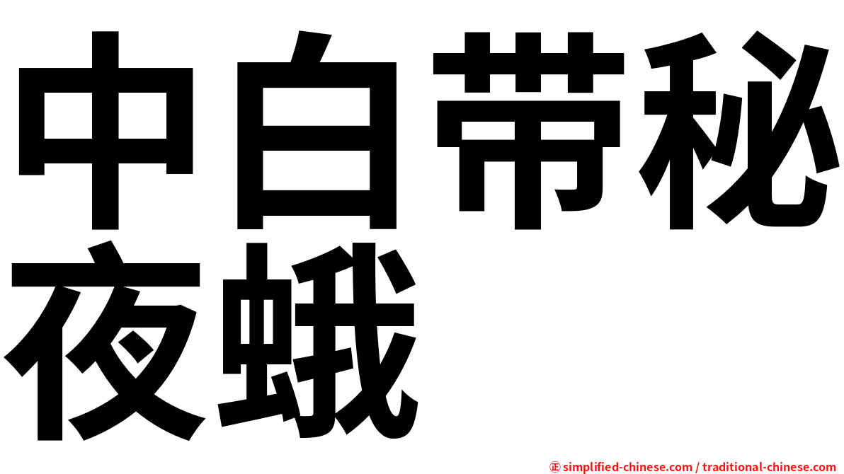 中白带秘夜蛾