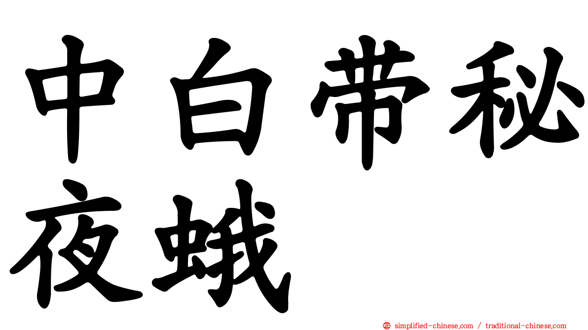 中白带秘夜蛾