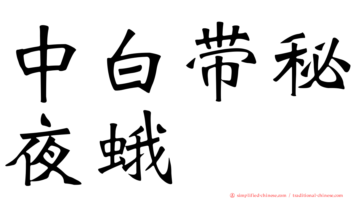 中白带秘夜蛾