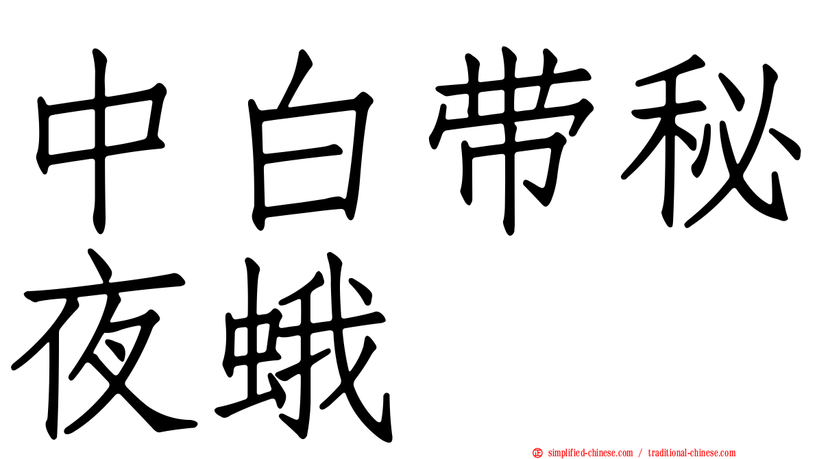 中白带秘夜蛾