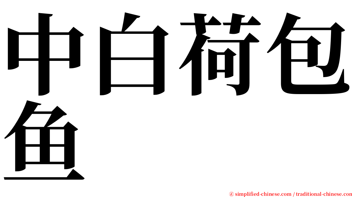 中白荷包鱼 serif font