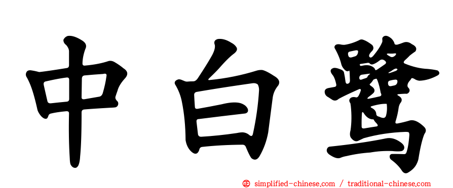中白鹭
