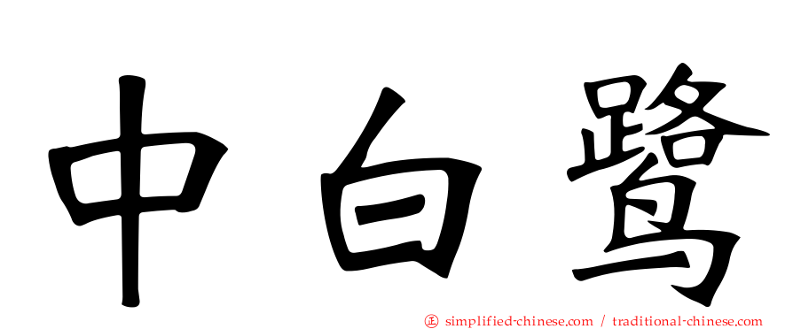 中白鹭