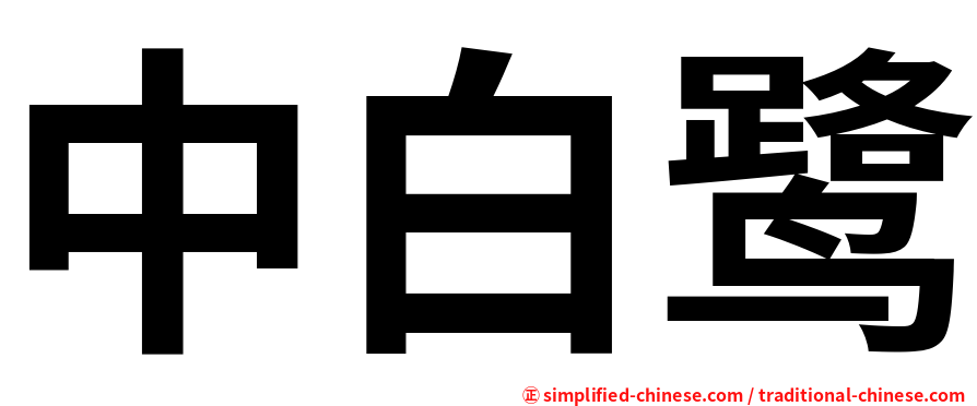 中白鹭