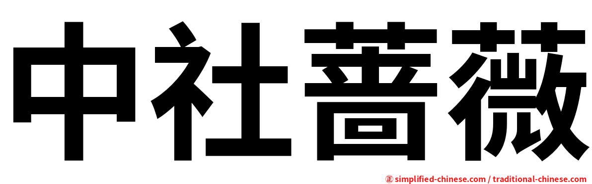 中社蔷薇