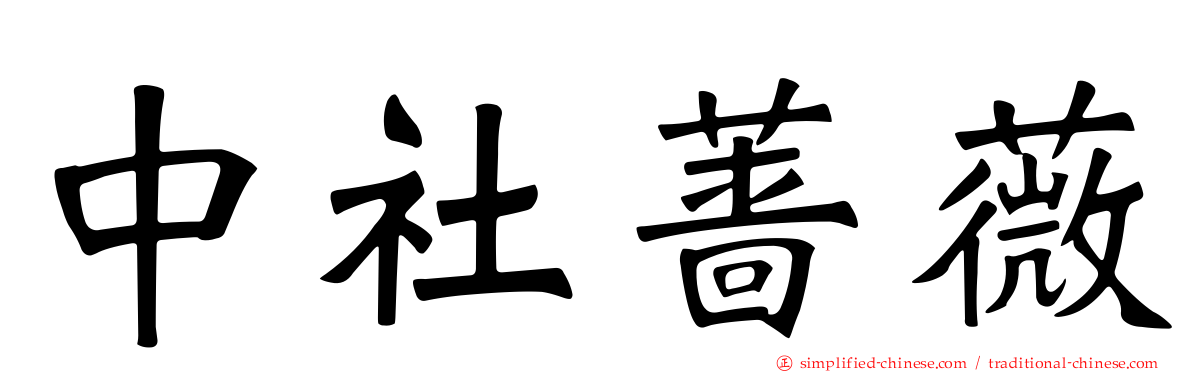 中社蔷薇