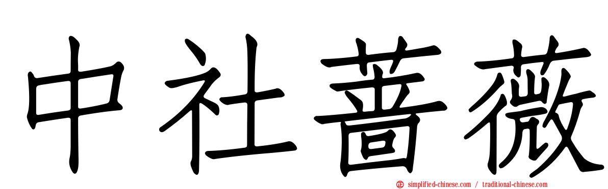 中社蔷薇