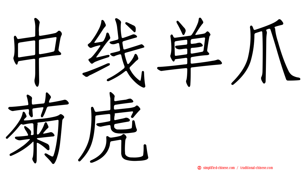 中线单爪菊虎