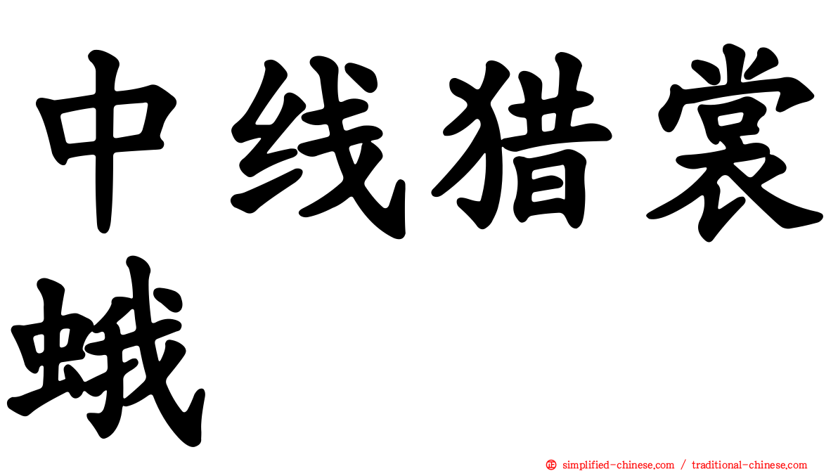 中线猎裳蛾