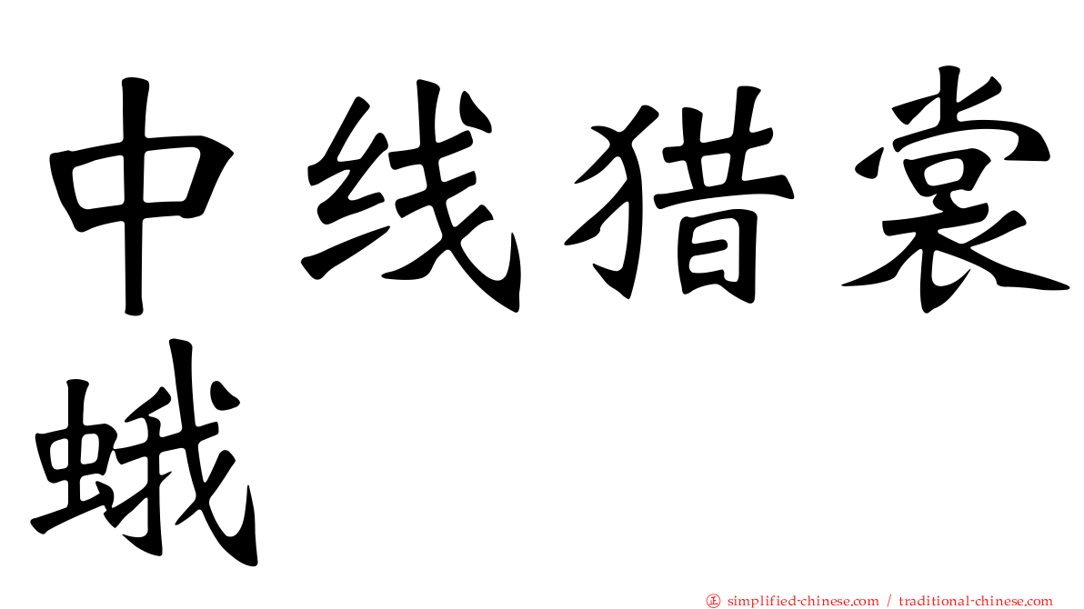 中线猎裳蛾