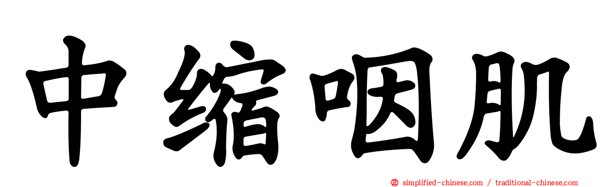 中缩咽肌
