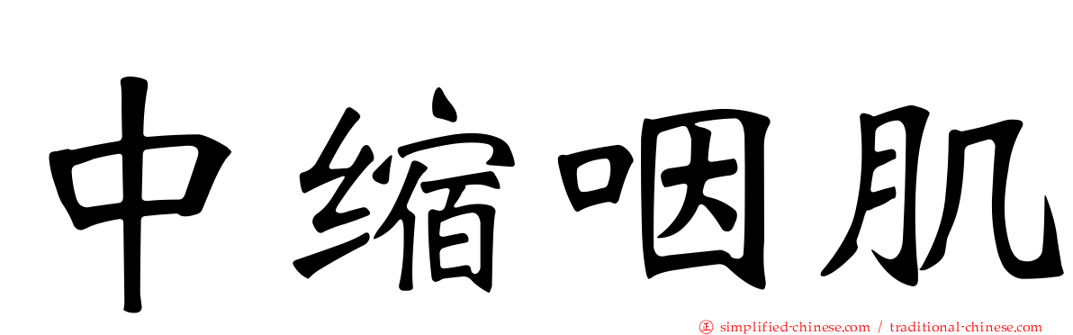中缩咽肌