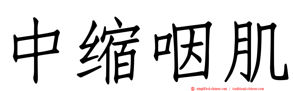 中缩咽肌