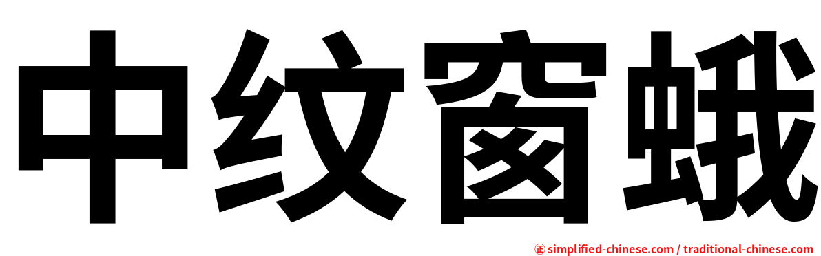 中纹窗蛾