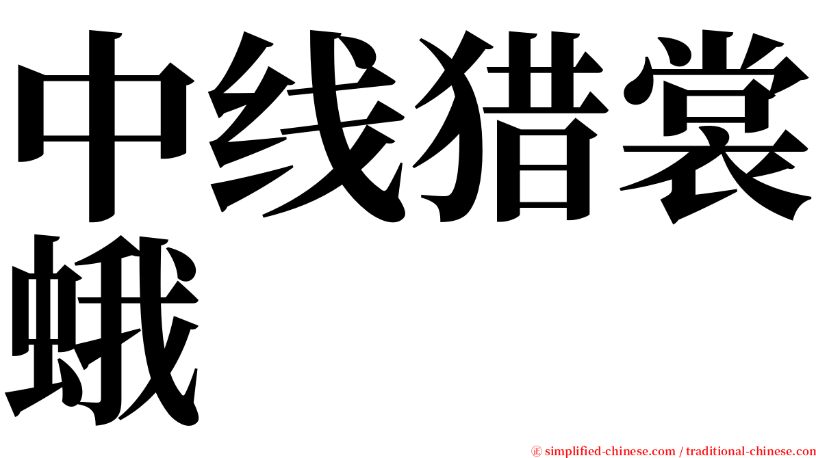 中线猎裳蛾 serif font
