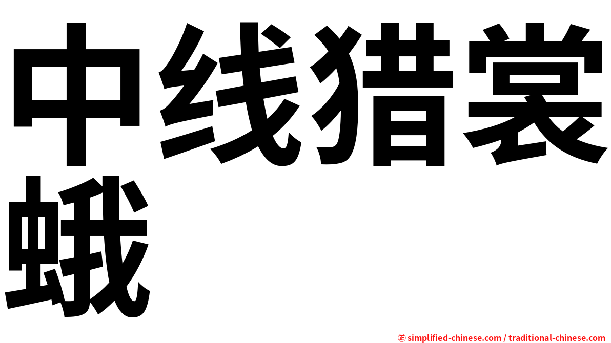 中线猎裳蛾