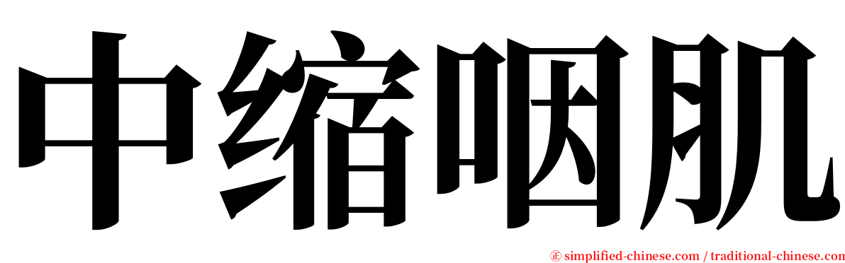中缩咽肌 serif font
