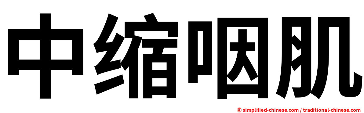 中缩咽肌