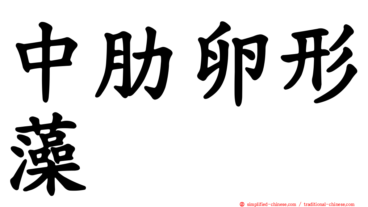 中肋卵形藻