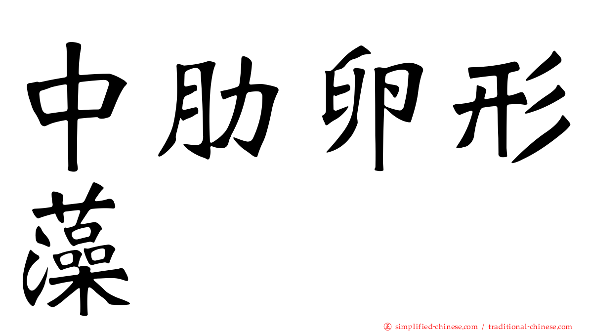 中肋卵形藻