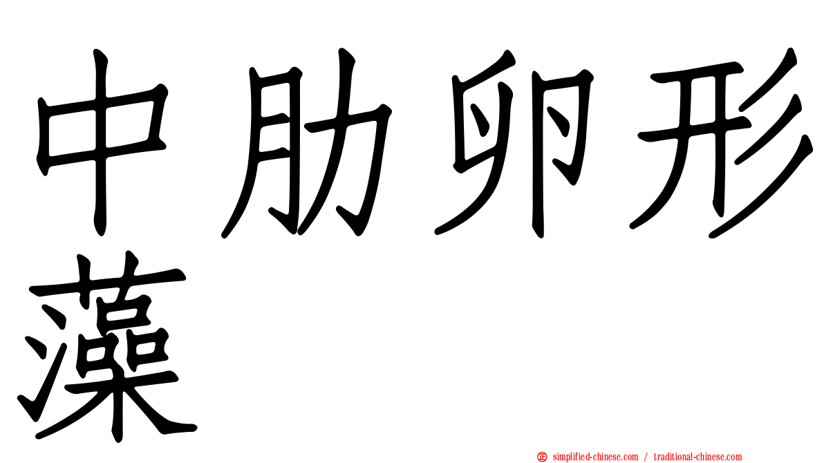 中肋卵形藻