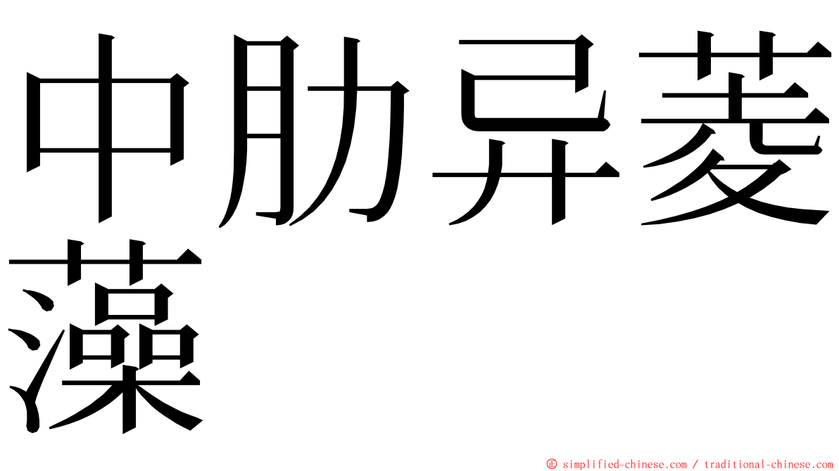 中肋异菱藻 ming font